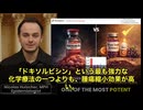 ビタミンC＋グレープシードエキスが最強抗がん剤を圧倒！マウス実験で腫瘍縮小率77% vs 67%の衝撃研究