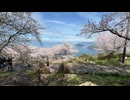 紫雲出山山頂で桜を見てから父母ヶ浜へ@20260405 iPhone13 Pro MAX 楽天回線 または au回線 その１