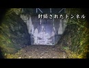 【心霊】封鎖されたトンネル【旧童学寺トンネル】石井トンネルin徳島県