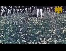 Who was Heinrich Himmler? Historical education video.