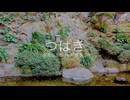 僧帽筋太郎 feat. 音街ウナ - つばき(Lyric Video)