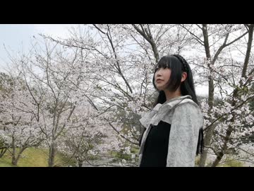 【よしえ】まちがいさがし 手話で表現してみた