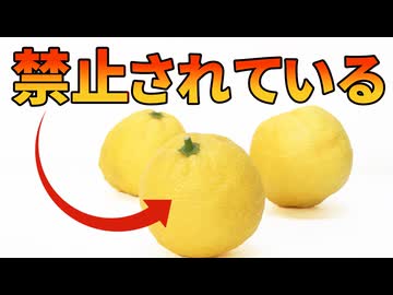 2万トンも穫れる日本の柚子がアメリカで禁止されている理由【解説動画】