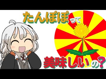 【ゆかりさん教えて！】たんぽぽはちみつって美味しいの？