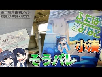 そうパレ行ったら野宿しかけて、こみなとと小湊鐵道乗ってきた話。【ソフトウェアトーク旅行】