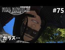 本当の「裏切り者」【FF14新生エオルゼアのんびり実況】#75
