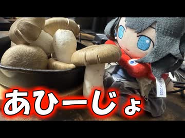 大きなしめじでアヒるみゃーまい【宮舞モカ】