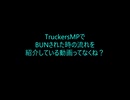 TruckersMPでBUNされた後の流れ　完全日本語版