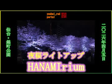 HANAMIrium（ハナミリウム） 仙台 錦町公園 夜桜ライトアップ 2026/04/05