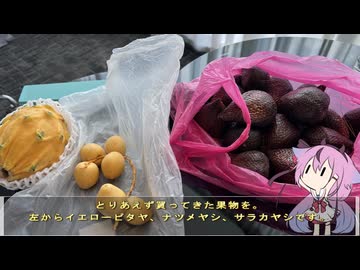 珍食材お買い物旅！#42　マレーシア編