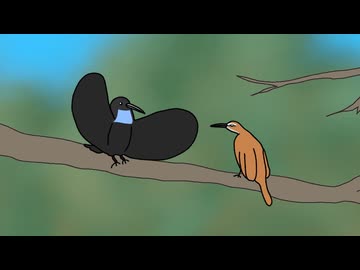 オオウロコフウチョウ