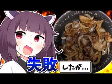 「甘くしすぎた肉料理」を作ってしまいました。でも、【きりたんの飯】