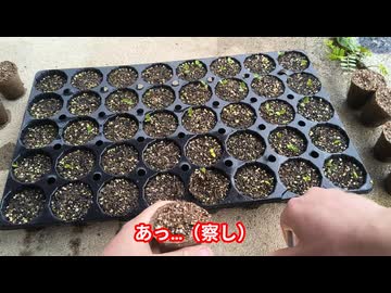 AKBがつちからはえてきたんだ