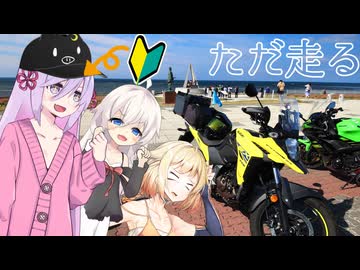 【宗谷岬】初心者でも700kmは余裕でしょ笑【日帰りで】