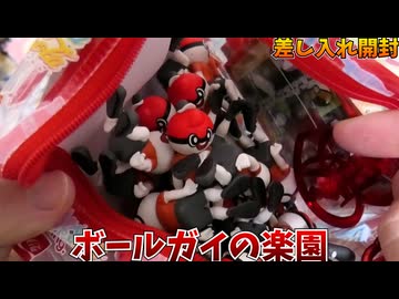 ニコこれ横浜で頂いた差し入れを開封するぞ！【後編】