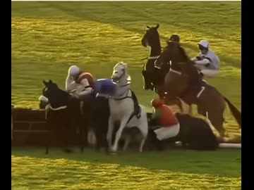 ホモと見る負けが確定したレースをめちゃくちゃにする馬