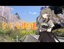 神山町のさくら街道【VOICEVOX車載】