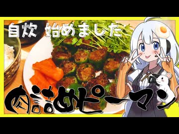 【自炊vlog】ニンジン爆発した【滅】