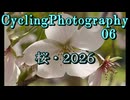 桜・2026　Cycling Photography06
