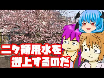 【車載】その時の気分と勢いだけで撮影された車載だけどままえあろと思った動画【自転車】