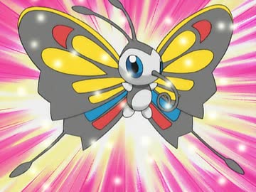 ポケットモンスター アドバンスジェネレーション　第13話　ポケモンコンテスト！アゲハントの華麗なバトル！！