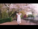 【桑茶SanTea】春裏々  踊ってみた 【超会議2026】