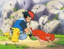 ポケットモンスター アドバンスジェネレーション　第24話　走れサトシ！キバニアの川を越え！