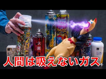 人間は吸えないガスでびっくりチキンを苦しめてみた結果