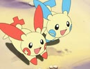 ポケットモンスター アドバンスジェネレーション　第52話　プラスルとマイナン！応援の道！？