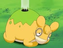 ポケットモンスター アドバンスジェネレーション　第53話　エネコとねこのて！ドンメルの牧場！