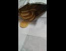 Thick Cut Salt Potato Snacks 66g 357kcal SEVEN＆i PREMIUM ZAKUっと網じゃが旨塩味