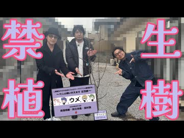 禁生植樹へ向かう車内で始まる禁断生ラジオ特別番組