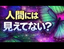 【なぜ見分けられる？】モンシロチョウが仲間と性別を見分ける仕組みを解説