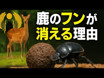 人気の「フンコロガシ」動画 47本 - ニコニコ動画