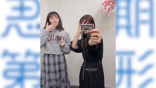 スペシャル動画『室内お花見』編