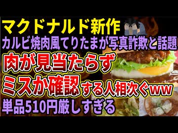 【マクドナルド】新作カルビ焼肉風てりたまが写真詐欺すぎて店員に確認する人まで出てくる‼単品510円であんまりすぎる‼