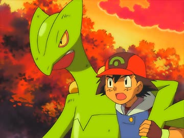 ポケットモンスター アドバンスジェネレーション　第163話　ジュカイン！ 復活の夜明け！！