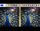 【！脳トレ+育脳に最適☆まちがい探しタイム！ 】＃488