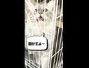 ケージから出たい子猫