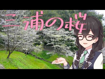 三浦半島で河津じゃない桜を見る！　桜スポットと春の海辺へ【とある喫茶店の写真と日常】