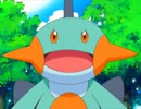 ポケットモンスター アドバンスジェネレーション　第148話　ミズゴロウとモココ！恋の特効薬！？