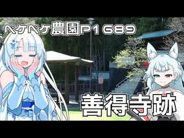 2026年4月8日　農作業日誌P1689　善徳寺紹介しつつ、動画編集中に眠気に負ける