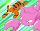 ポケットモンスター アドバンスジェネレーション　第127話　開幕！サイユウ大会！！