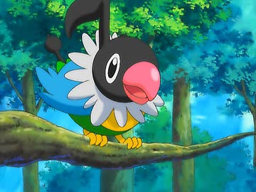 ポケットモンスター アドバンスジェネレーション　第184話　ペラップとポケモン漫才！