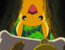 ポケットモンスター アドバンスジェネレーション　第112話　マッスグマ！友情のカタチ！？