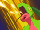ポケットモンスター アドバンスジェネレーション　第111話　ルネジム！水のアーティスト・アダン！（後編）