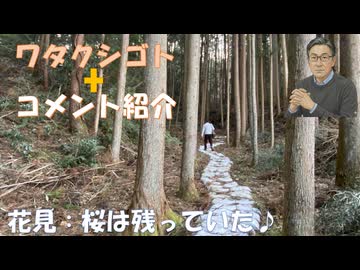 薬製造も農業なのに食料自給率最低の国が日本!循環器内科の訪問ペースメーカー売り増加! ロシア人移民とイスラム教の容認が石油のディールかな？←コメ【アラ還・読書中毒】私事：花見、桜は残っていた・焼肉で！