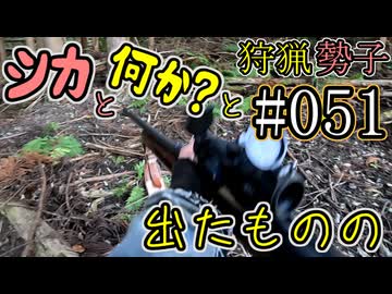 狩猟勢子動画＃051　シカと何か？と出たものの