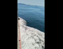 大日本帝国連合艦隊カラー映像！日本海軍連合艦隊一等巡洋艦・重巡洋艦・妙高型【足柄・羽黒】の第二次世界大戦当時の乗組員の気分になれるカラー映像！大日本帝国海軍WW2当時のカラー映像！太平洋戦争カラー映像