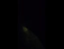大日本帝国連合艦隊カラー映像！日本海軍連合艦隊二等巡洋艦・軽巡洋艦・球磨型【木曾】の第二次世界大戦当時の乗組員の気分になれるカラー映像！大日本帝国海軍WW2当時のカラー映像！太平洋戦争カラー映像